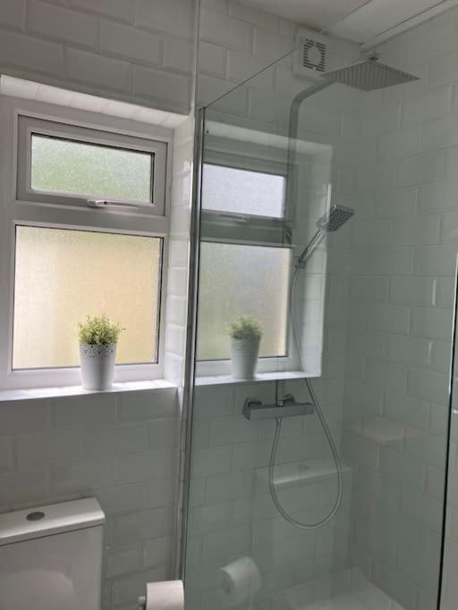 Ballaghaderreen Whitethorn Cottage, Palmfield מראה חיצוני תמונה