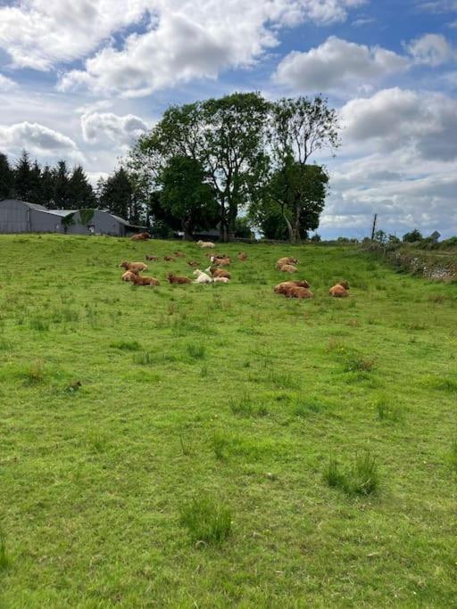 Ballaghaderreen Whitethorn Cottage, Palmfield מראה חיצוני תמונה